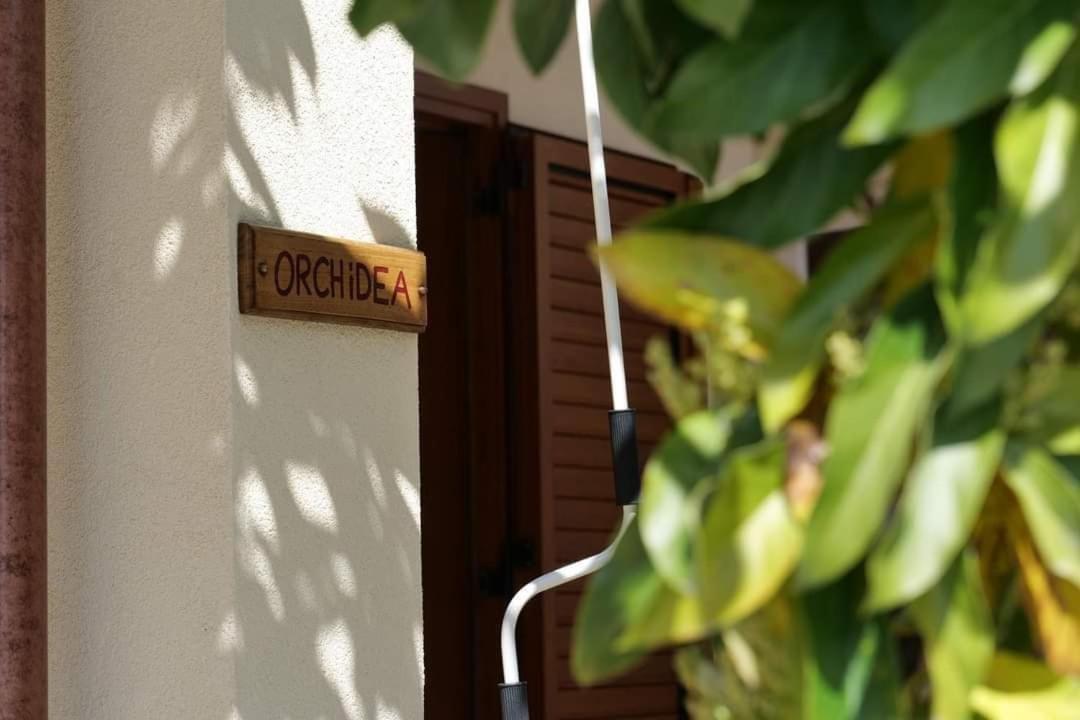 Case Vacanze La Quercia Marina di Camerota Exterior foto
